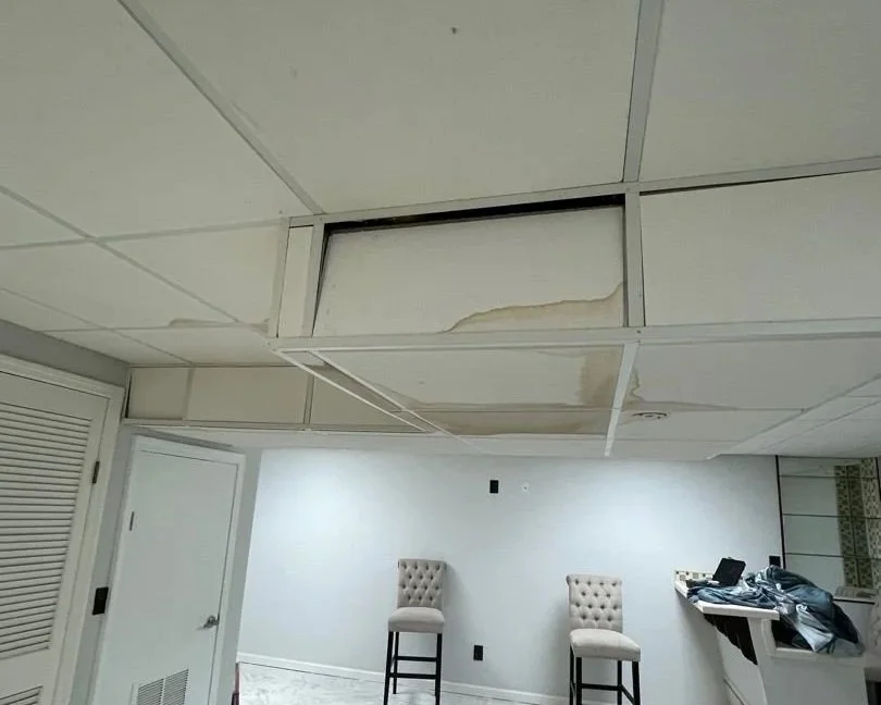 Staining on the basement drop ceiling tiles from a toilet overflow