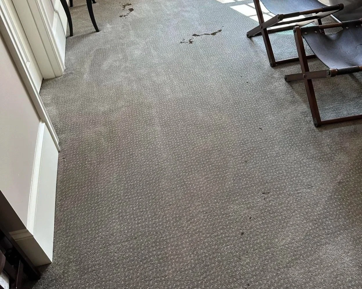 Mystery stains on bedroom carpet before ServiceMaster professional deep carpet cleaning