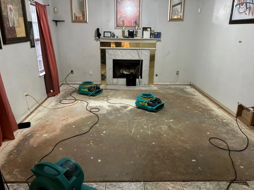 ServiceMaster removed affected carpet from living room
