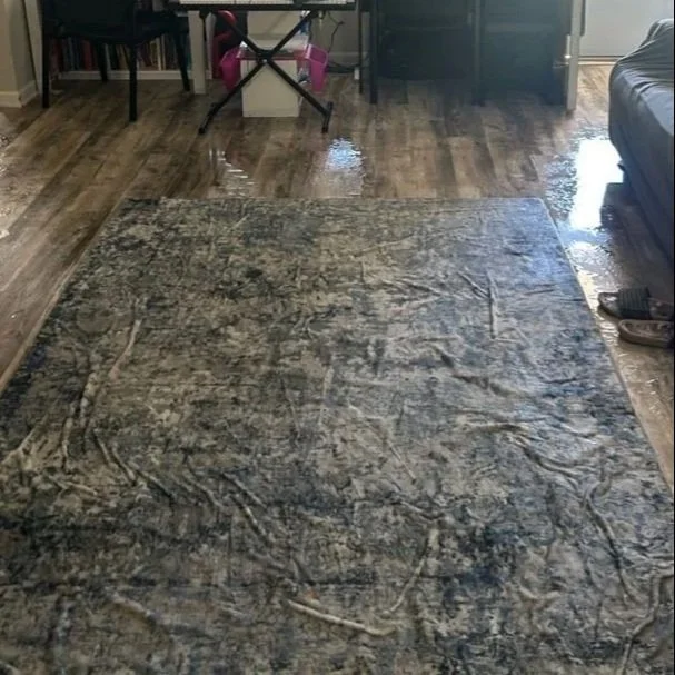 Water on Living Room floor from toilet overflow