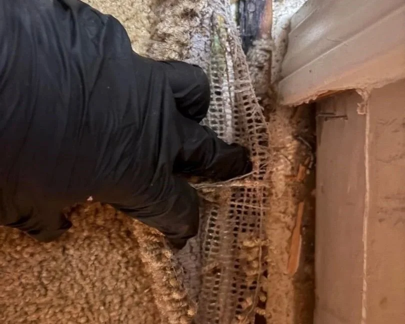 Carpet delamination after water damage from leak from a bathtub drain