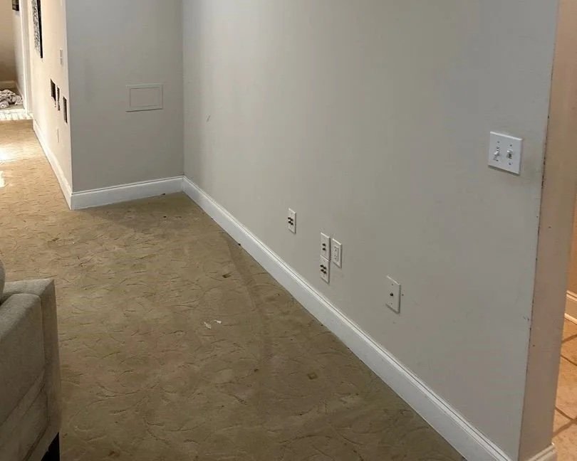 Saturated carpet in living room after front loader washing machine door opened