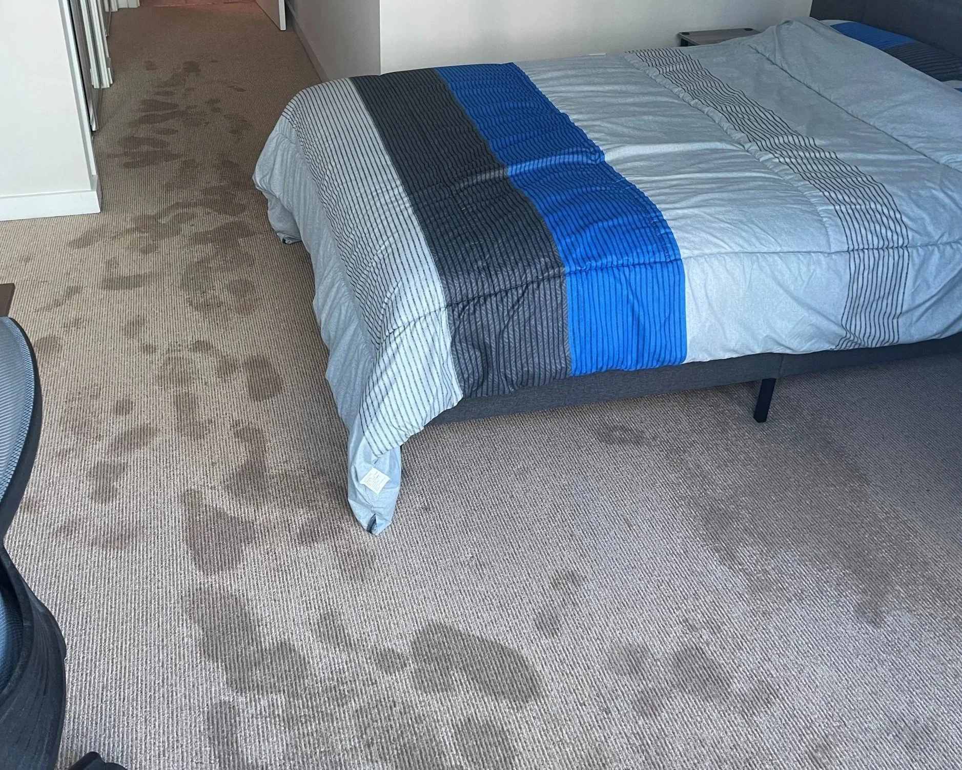 Water damage to bedroom carpet after a dishwasher leaked