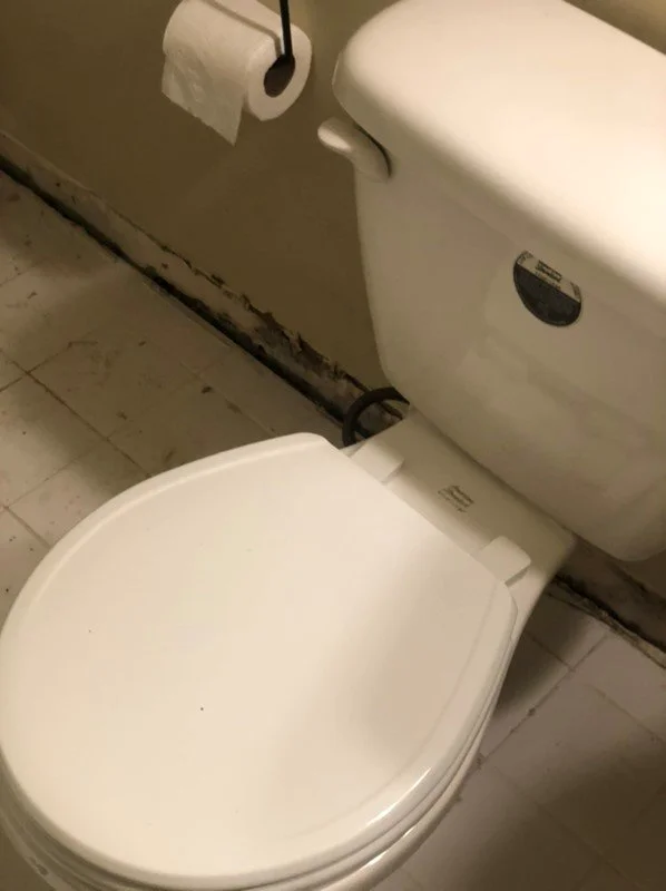 Improper seals in areas with high water usage also easily grow mold