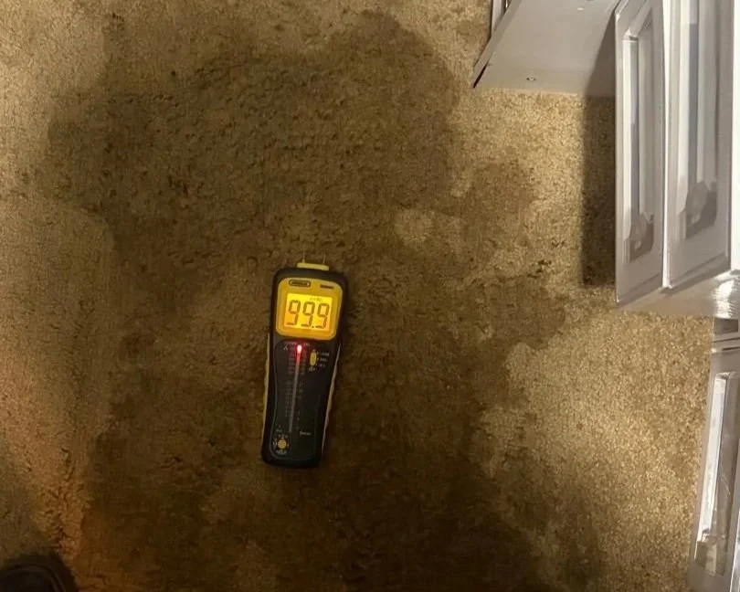ServiceMaster moisture meter on a wet spot of carpet after a bathtub drain leaked