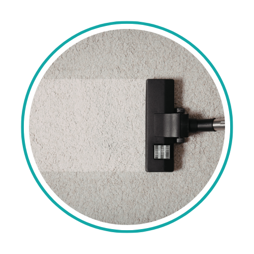 Vacuum head shown cleaning carpet