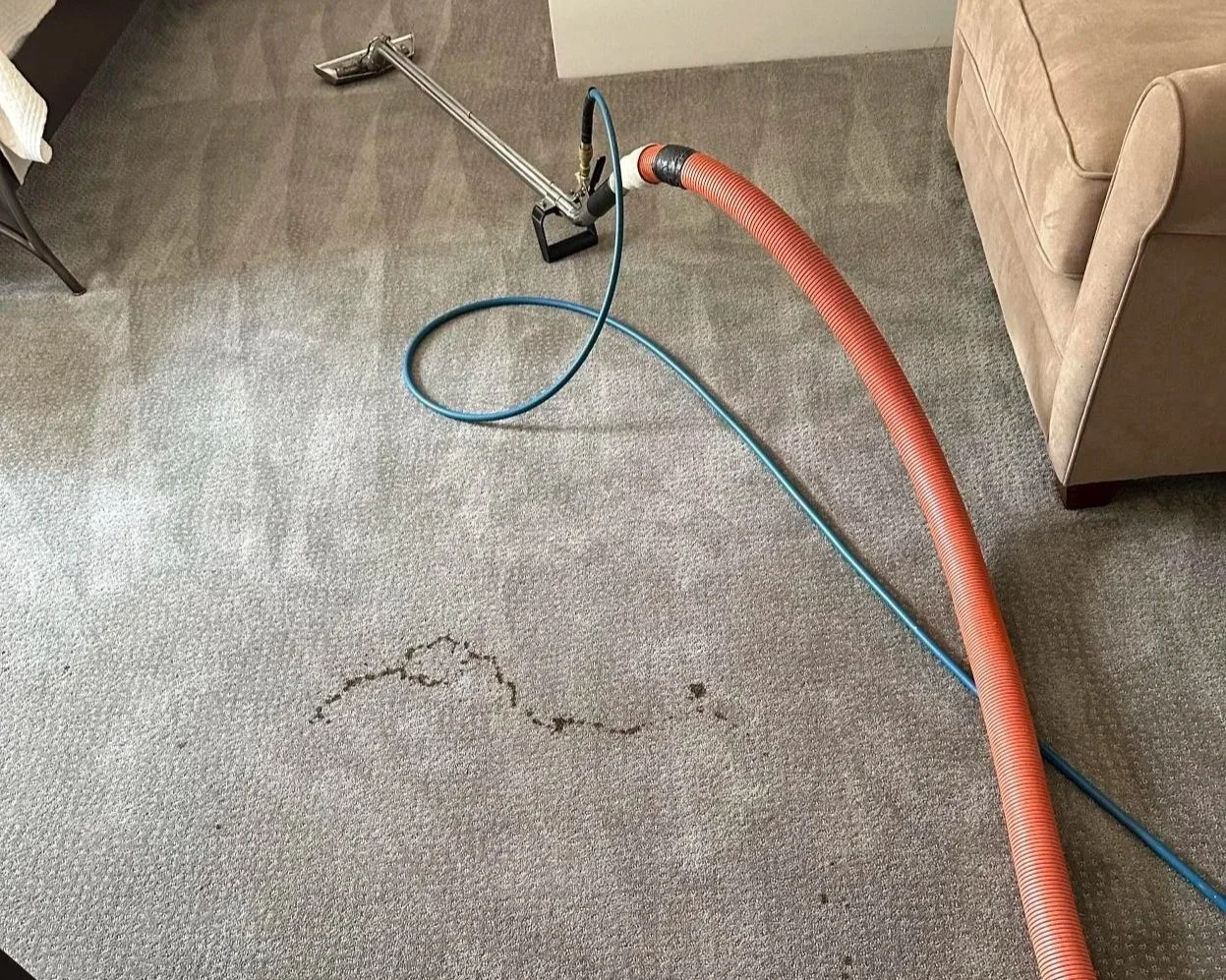 Bedroom carpet during the ServiceMaster professional deep carpet cleaning process