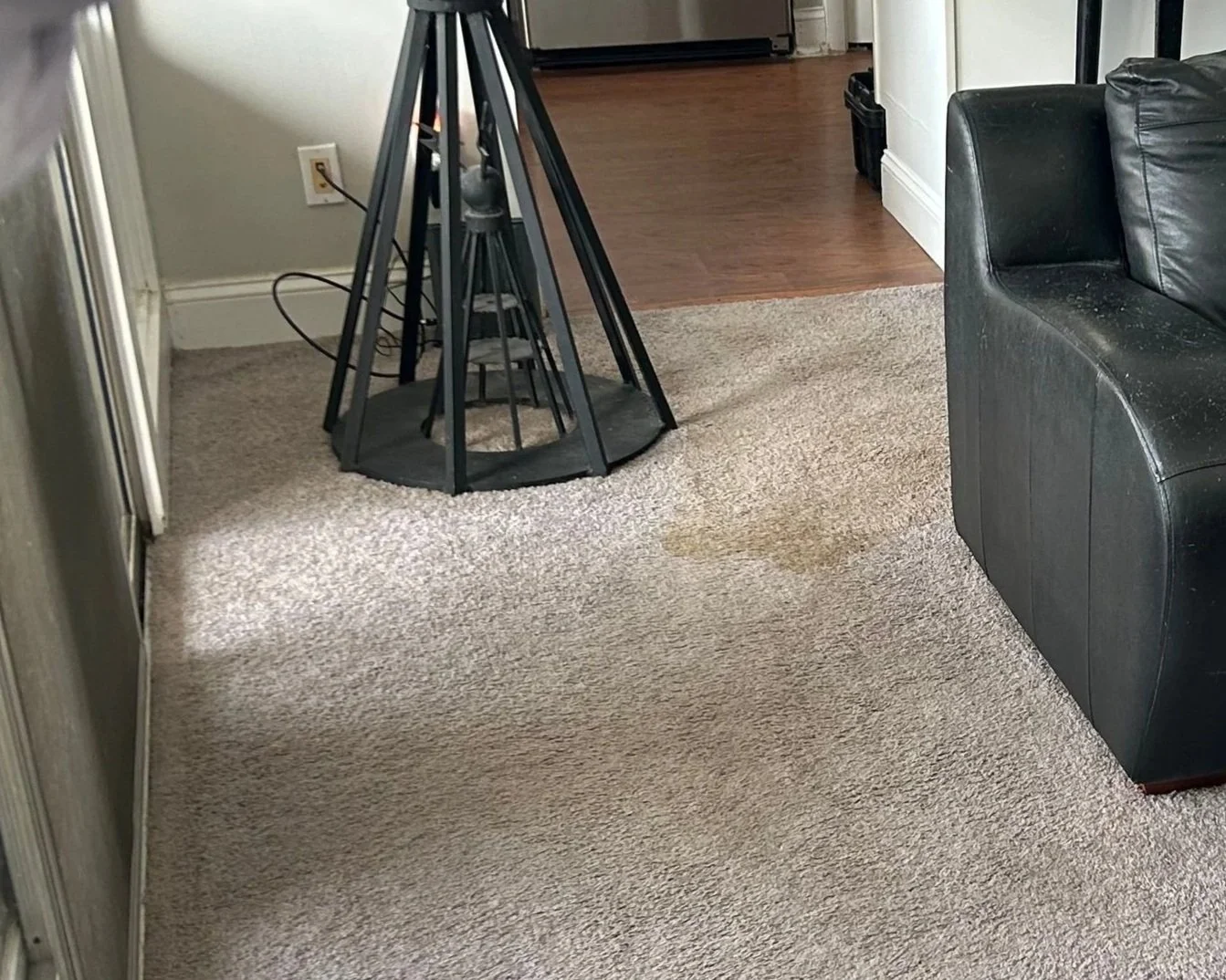 Water from water filter supply line ran across kitchen floor onto the living room carpet