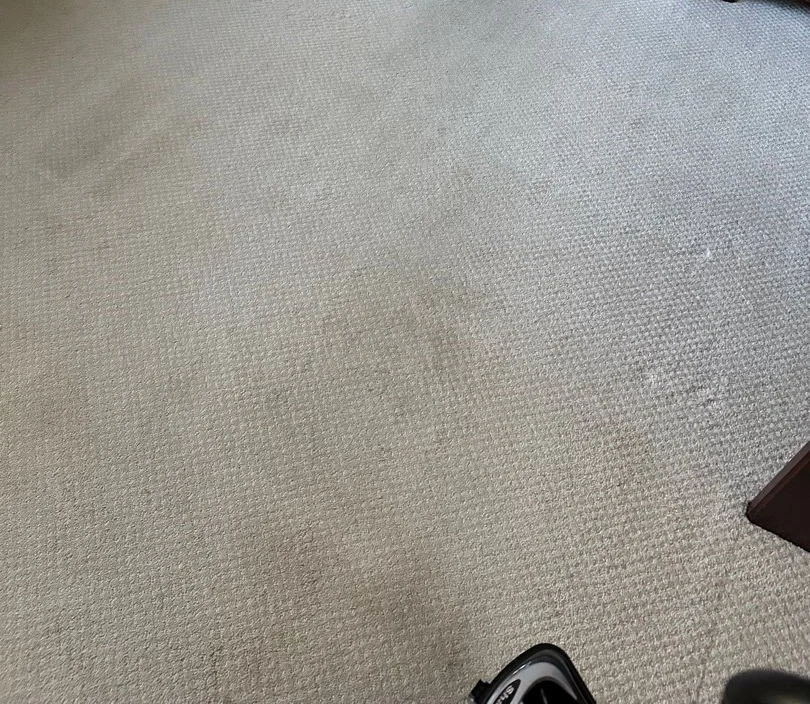Office carpet before ServiceMaster carpet cleaning