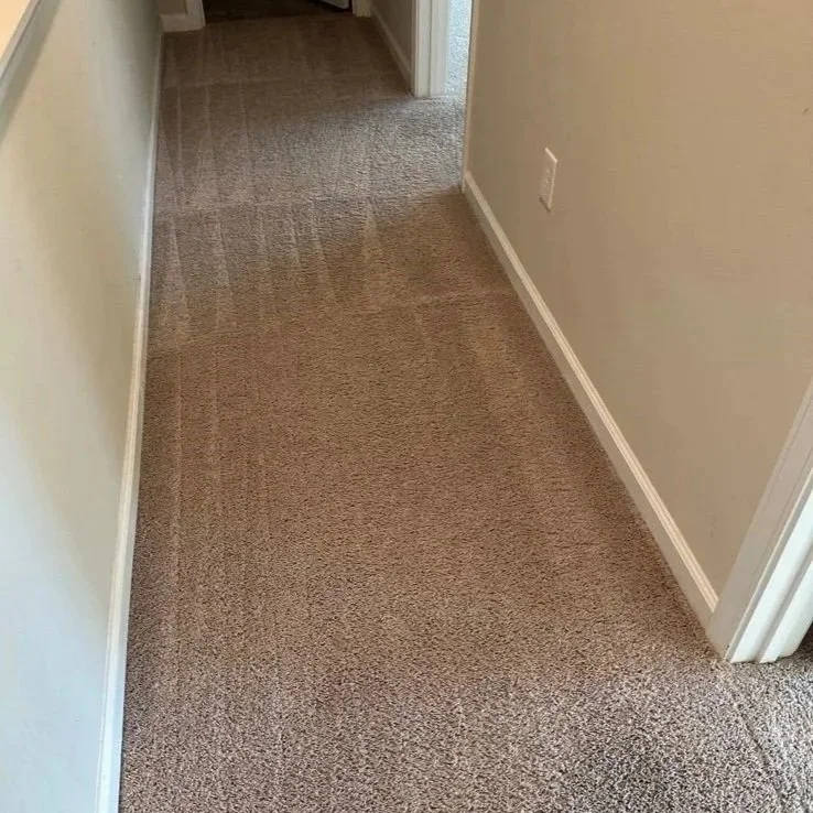 2nd floor hallway after ServiceMaster carpet cleaning