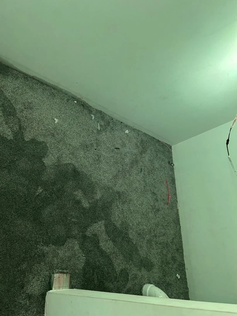 Closet drywall and carpet affected by water damage