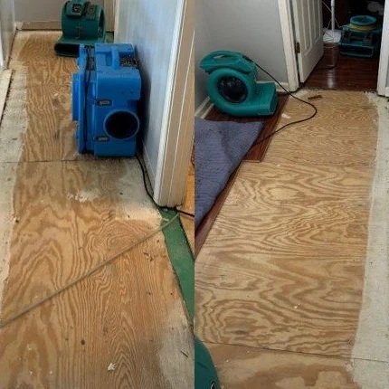 Plywood subfloor in hallway after ServiceMaster removed damaged laminate flooring