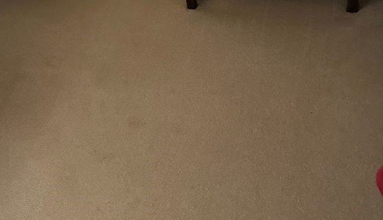 Carpet stain before ServiceMaster cleaning