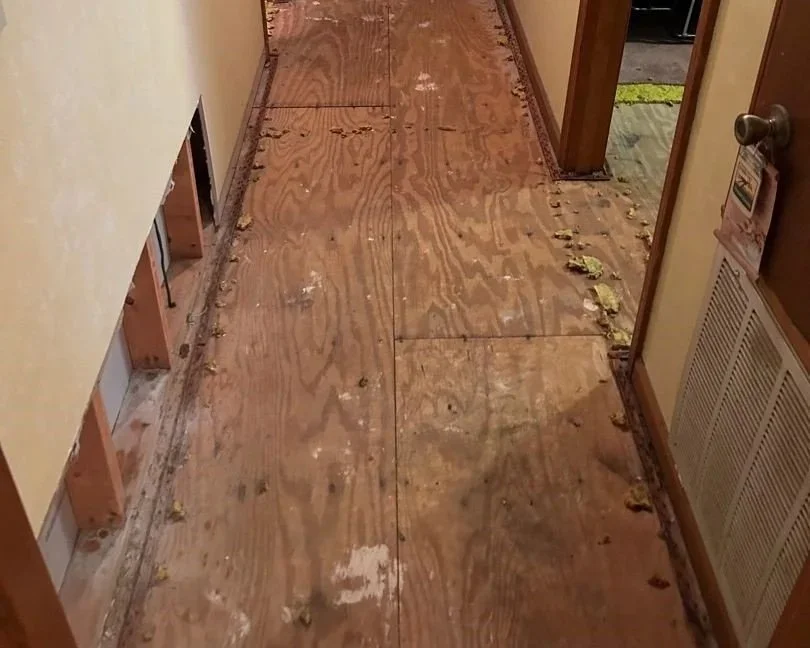 Dried hallway with damaged carpet and drywall removed