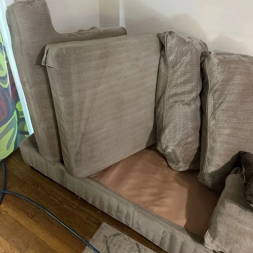 Sofa after ServiceMaster upholstery deep cleaning