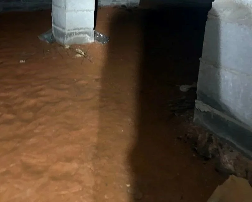 Plastic vapor barrier removed to allow trapped water to escape the crawlspace