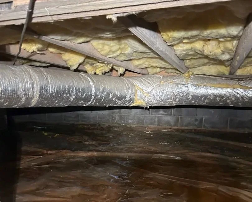 Wet insulation after water ran down from main level of the home