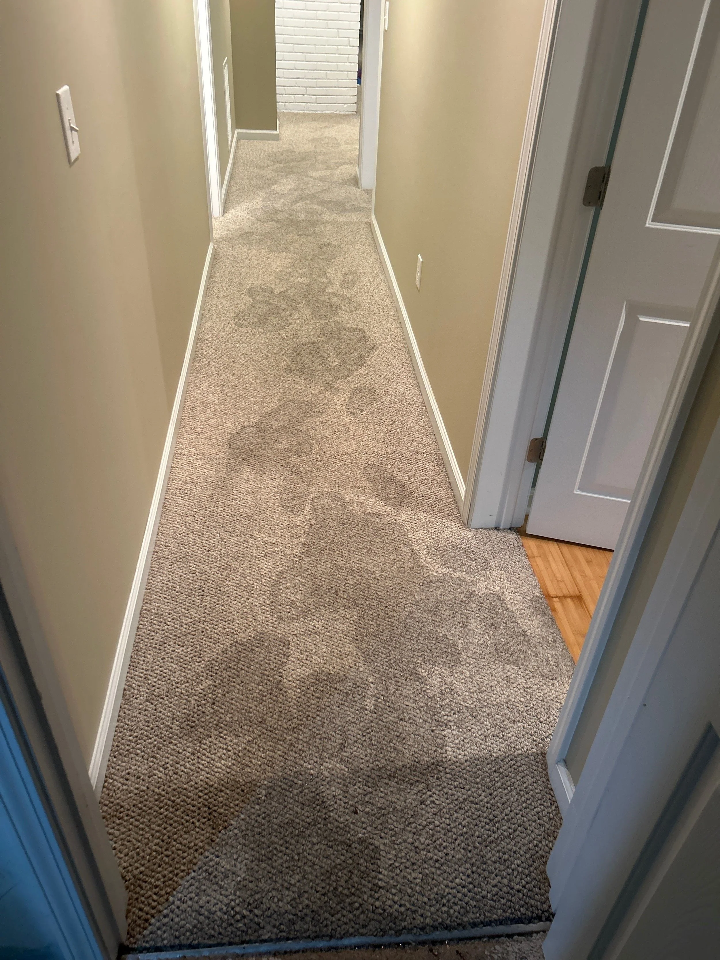 Hallway carpet damaged by water from a fridge line leak