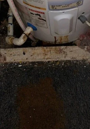 Slow leaks cause mold growth.