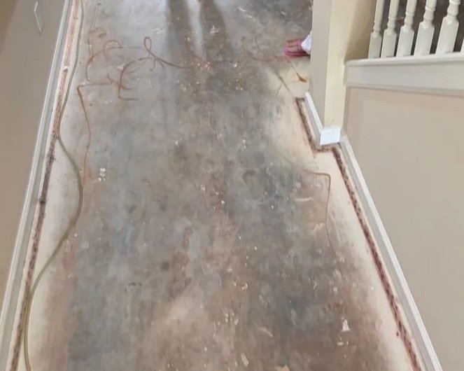 Hallway floor after ServiceMaster water damage mitigation completed