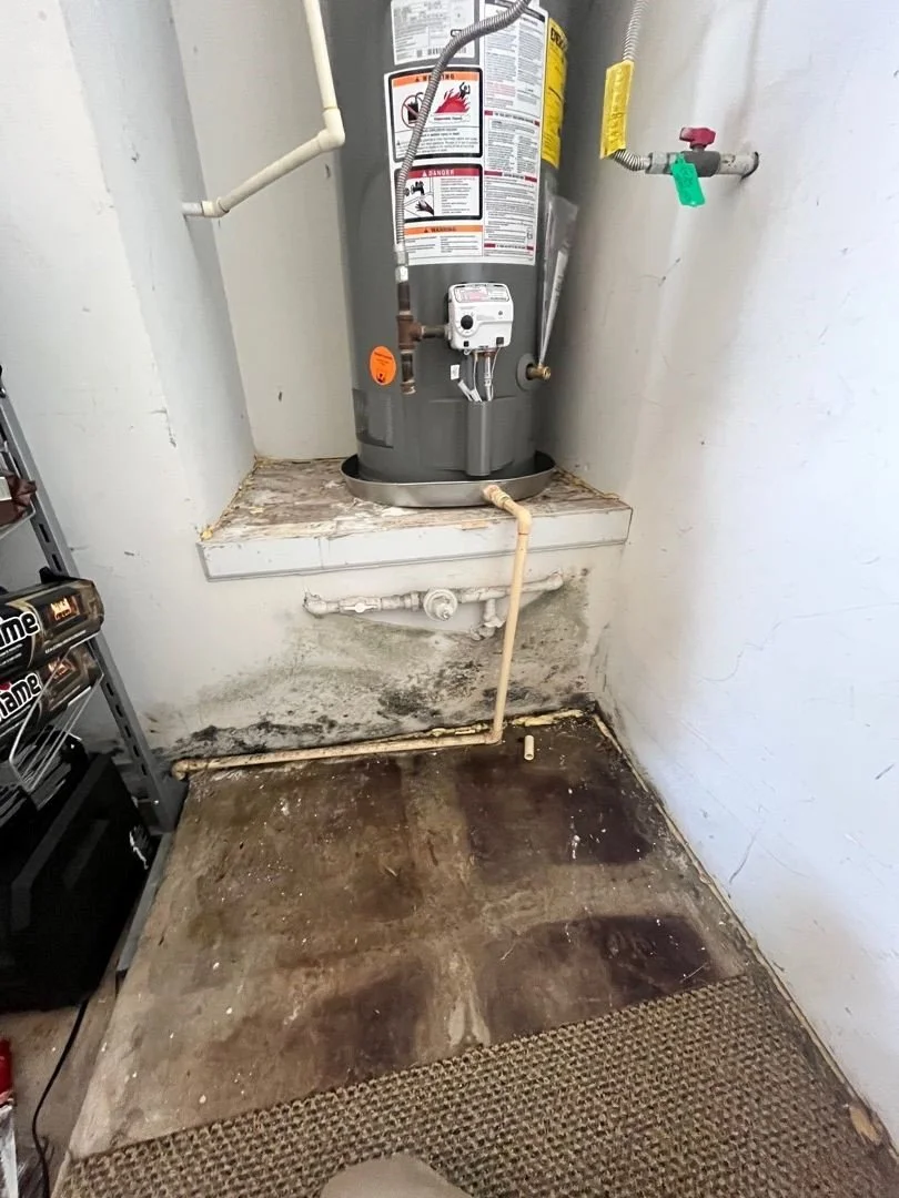 Mold in garage due to water heater leak