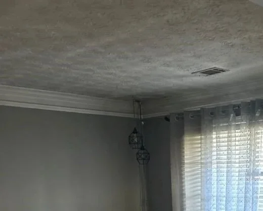 Soot on family room ceiling after space heater fire