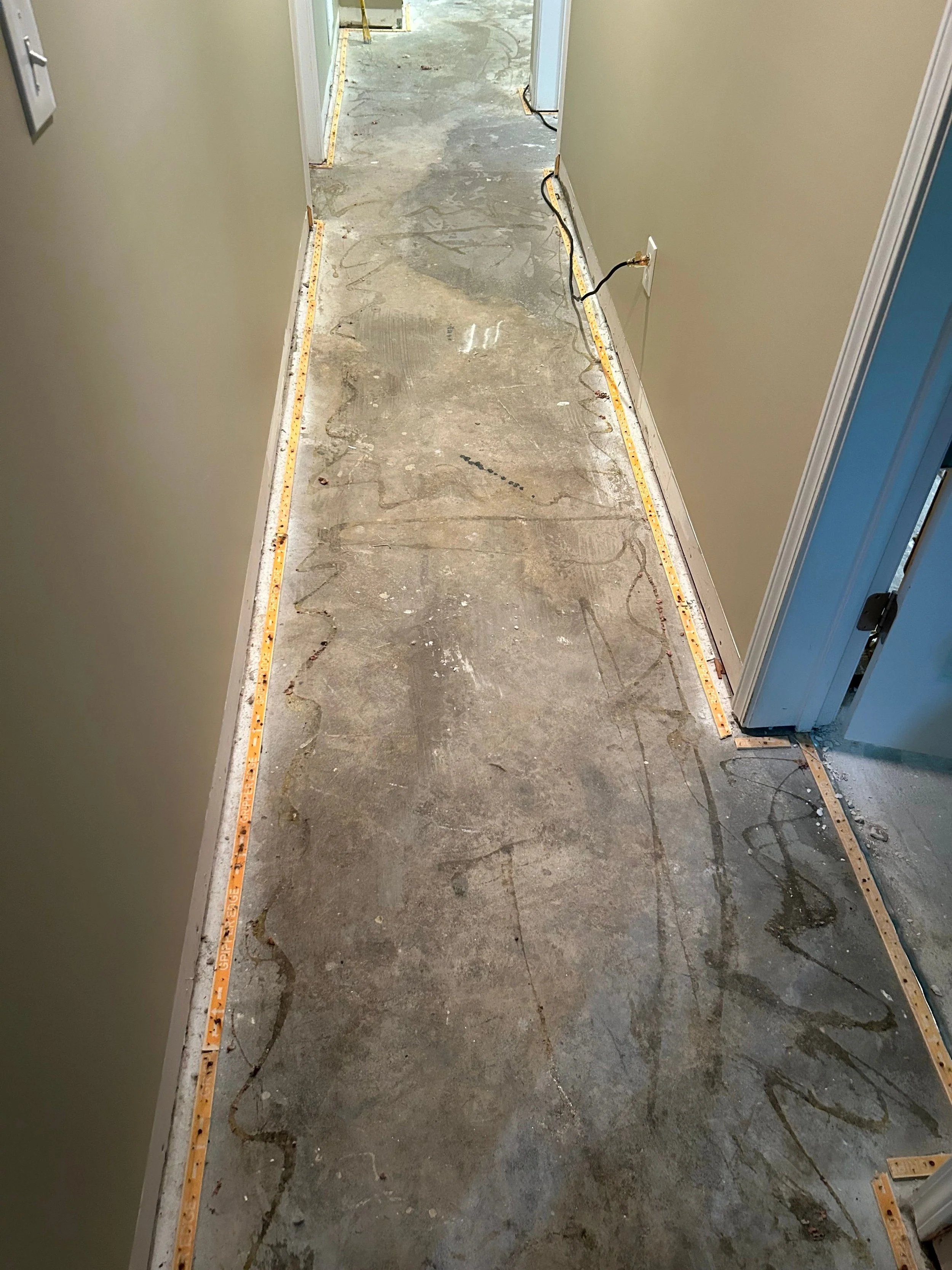 ServiceMaster removed carpet damaged during a water loss