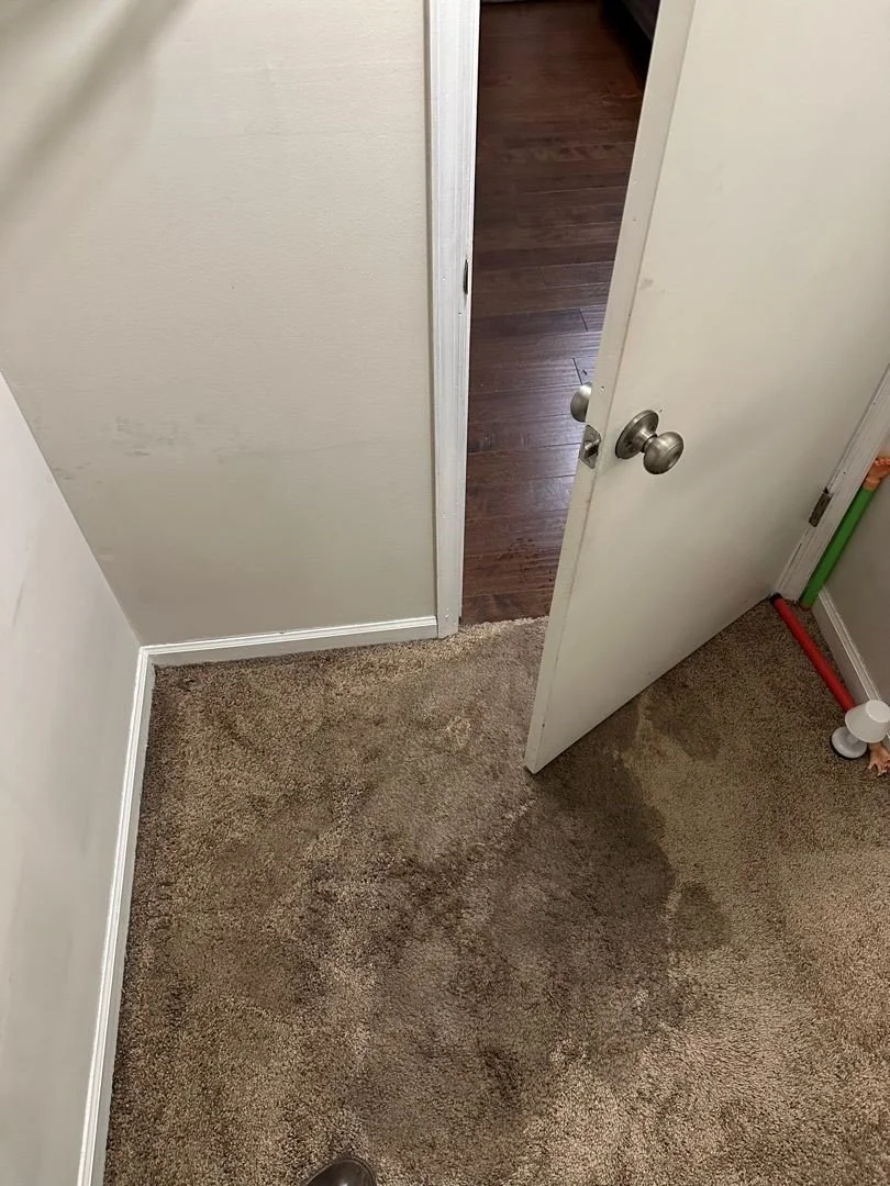 Closet carpet affected by water heater leak