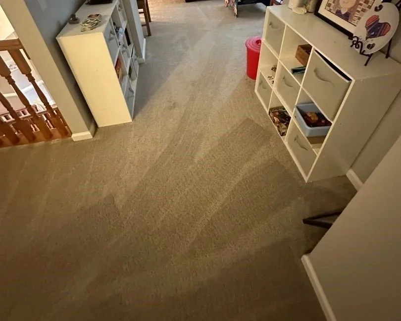 Vacuum marks after ServiceMaster prepped for carpet cleaning