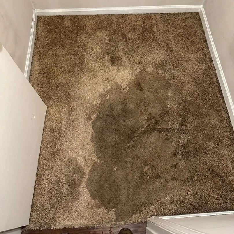 Closet carpet affected by a water heater leak