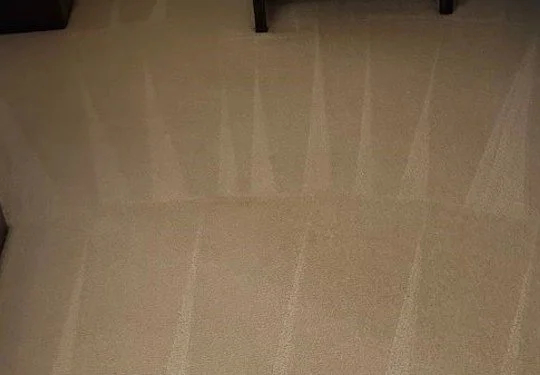 Bedroom carpet after ServiceMaster cleaning