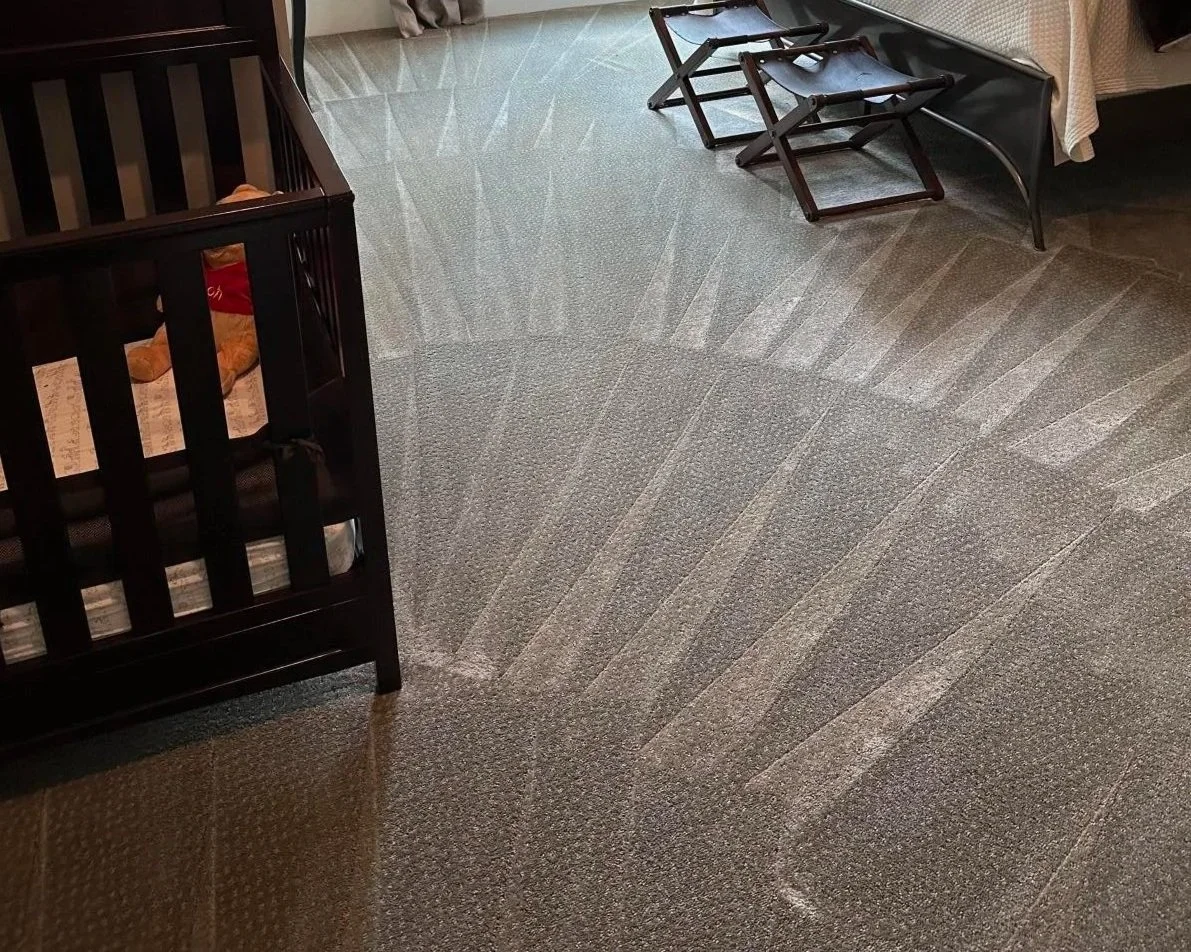 Bedroom carpet stain free after ServiceMaster professional deep carpet cleaning