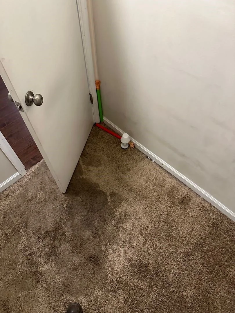 Closet carpet affected by water heater leak