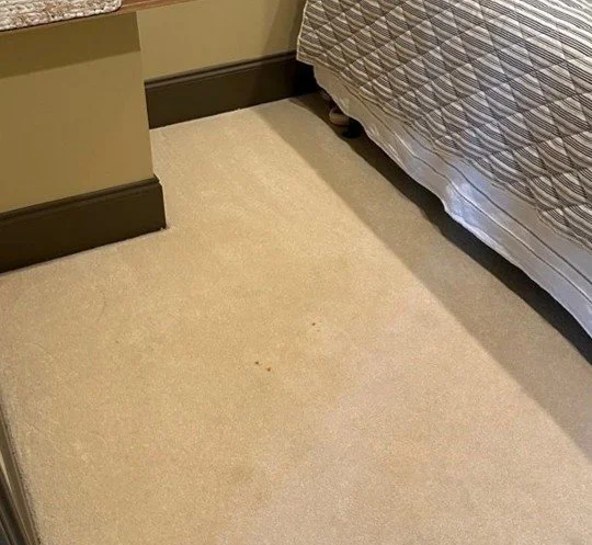 Carpet stain before ServiceMaster cleaning
