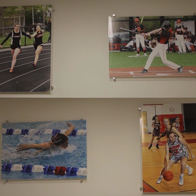 Have you checked out the athletic wing to see some of WHS&rsquo;s varsity athletes yet??? They are a new addition from Student Council and will be rotated periodically to ensure that every sport gets on the wall!!