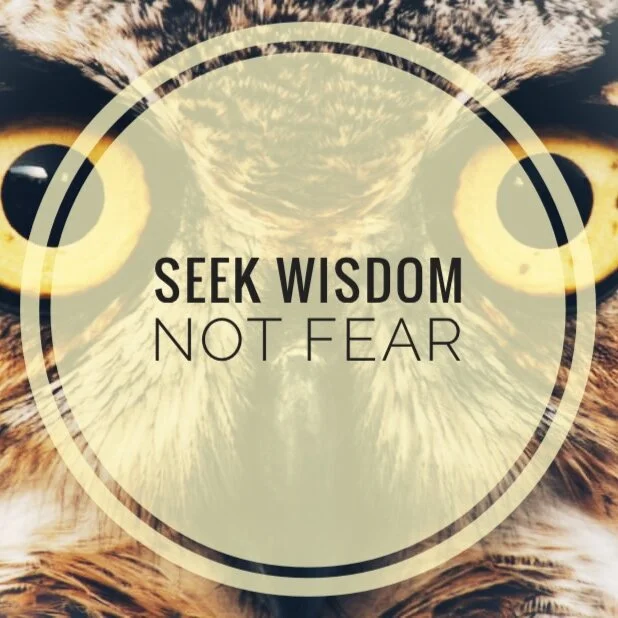 Seek Wisdom, Not Fear
