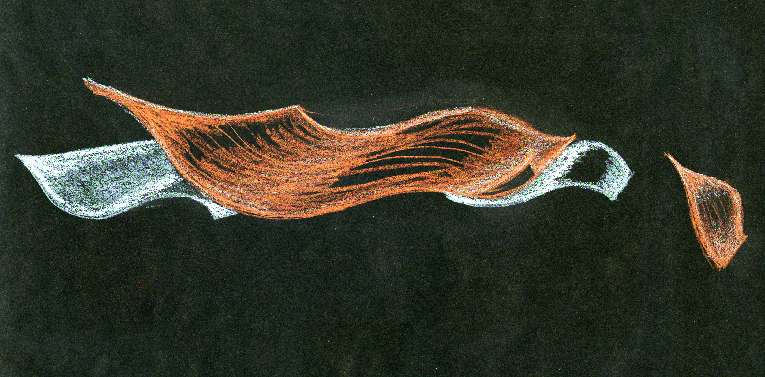rendering10.jpg