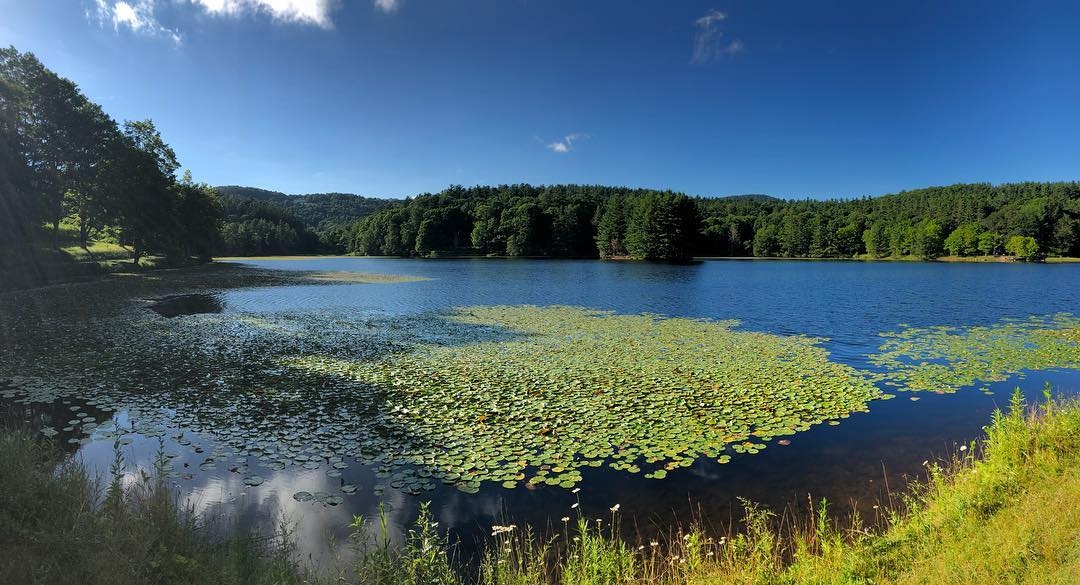 Bass Lake.jpg