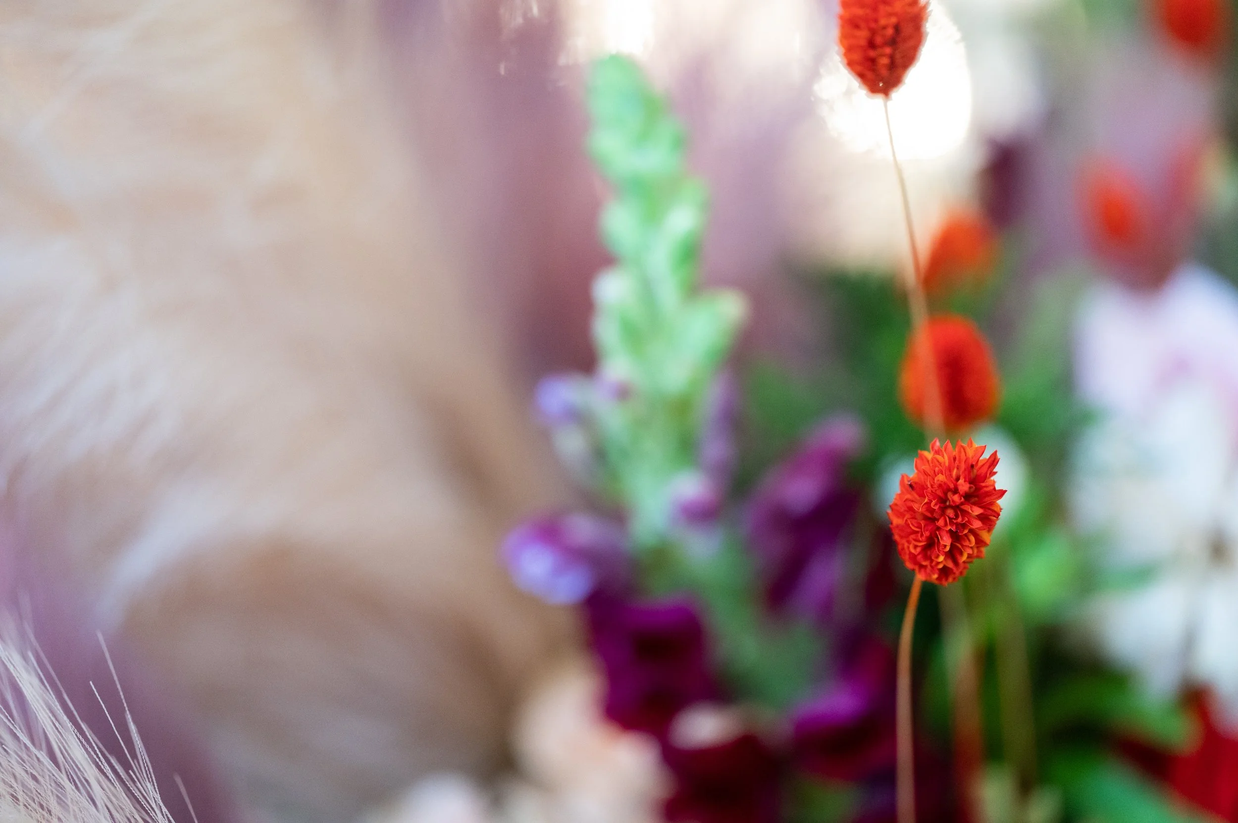 Art in Bloom-treneforbesphotography-10.jpg
