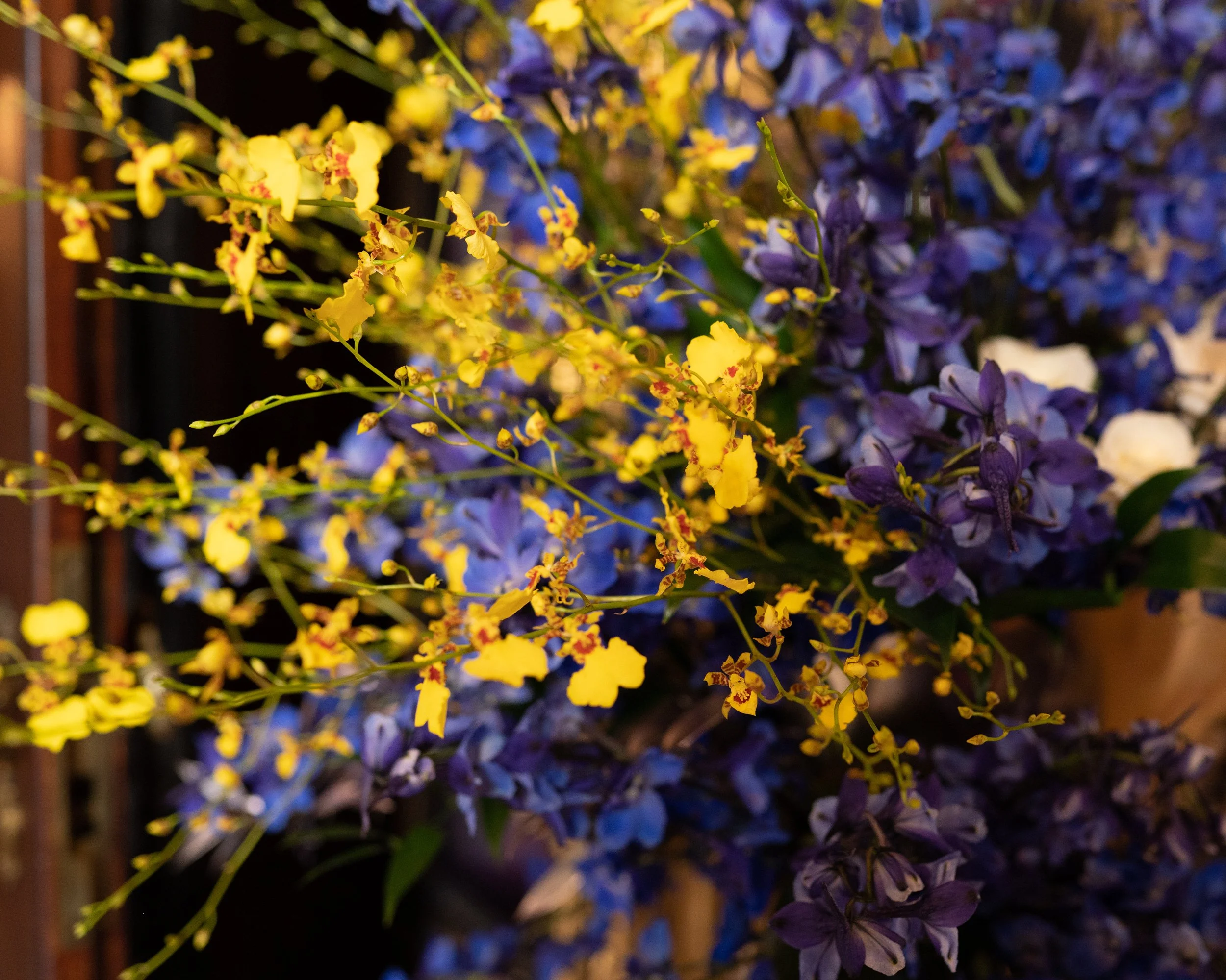 Art in Bloom-treneforbesphotography-25.jpg