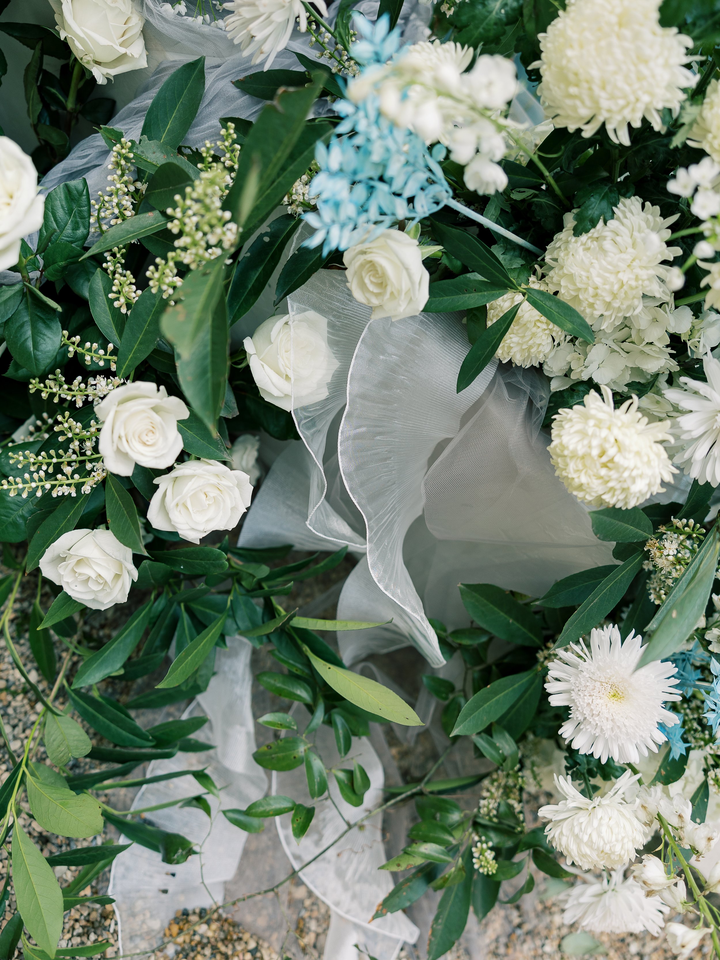 Washington DC Wedding Photographer Costola Photography -3.23 _ Events _ Art in Bloom-35.jpg