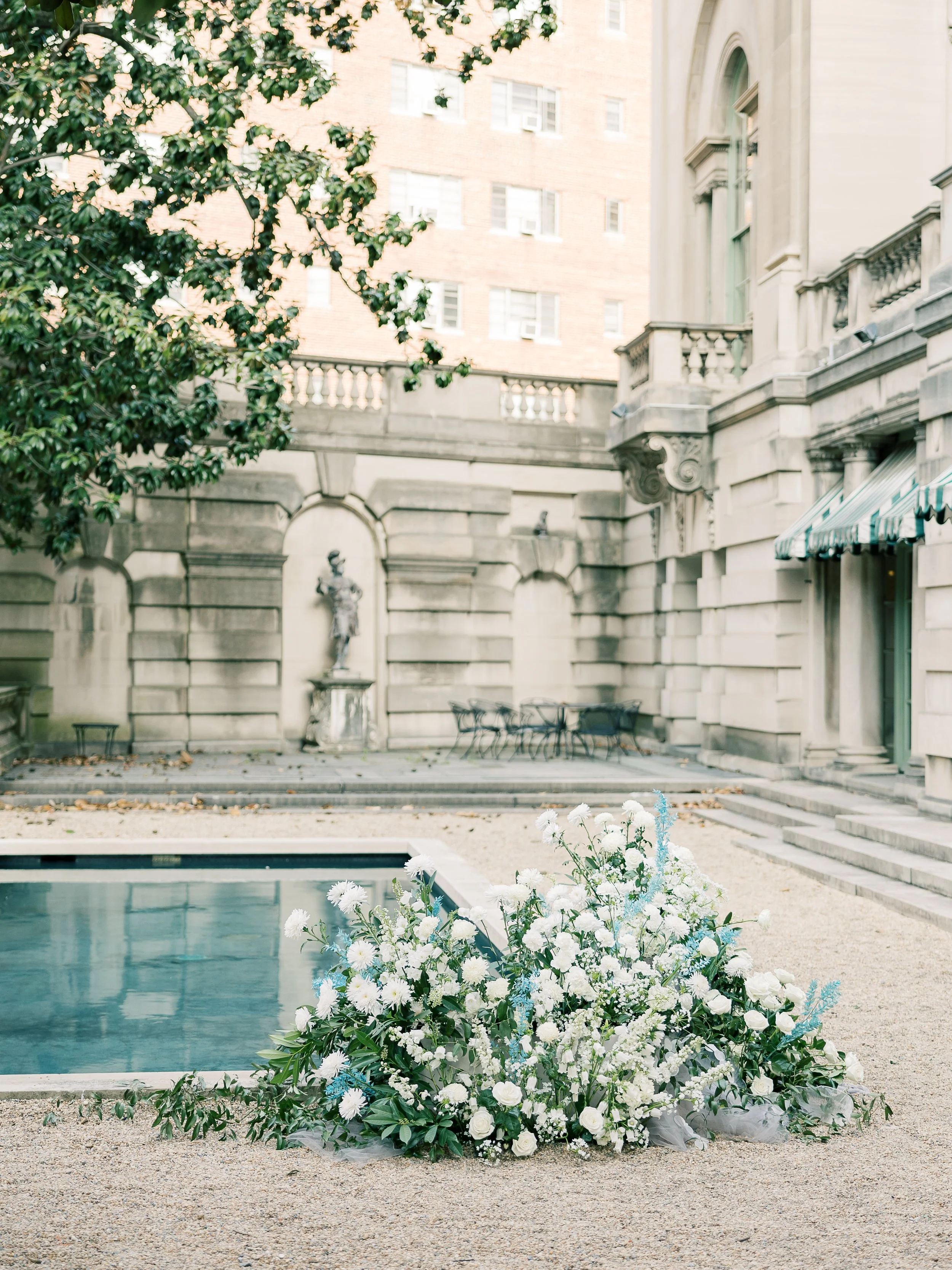 Springvale x Reflecting Pool