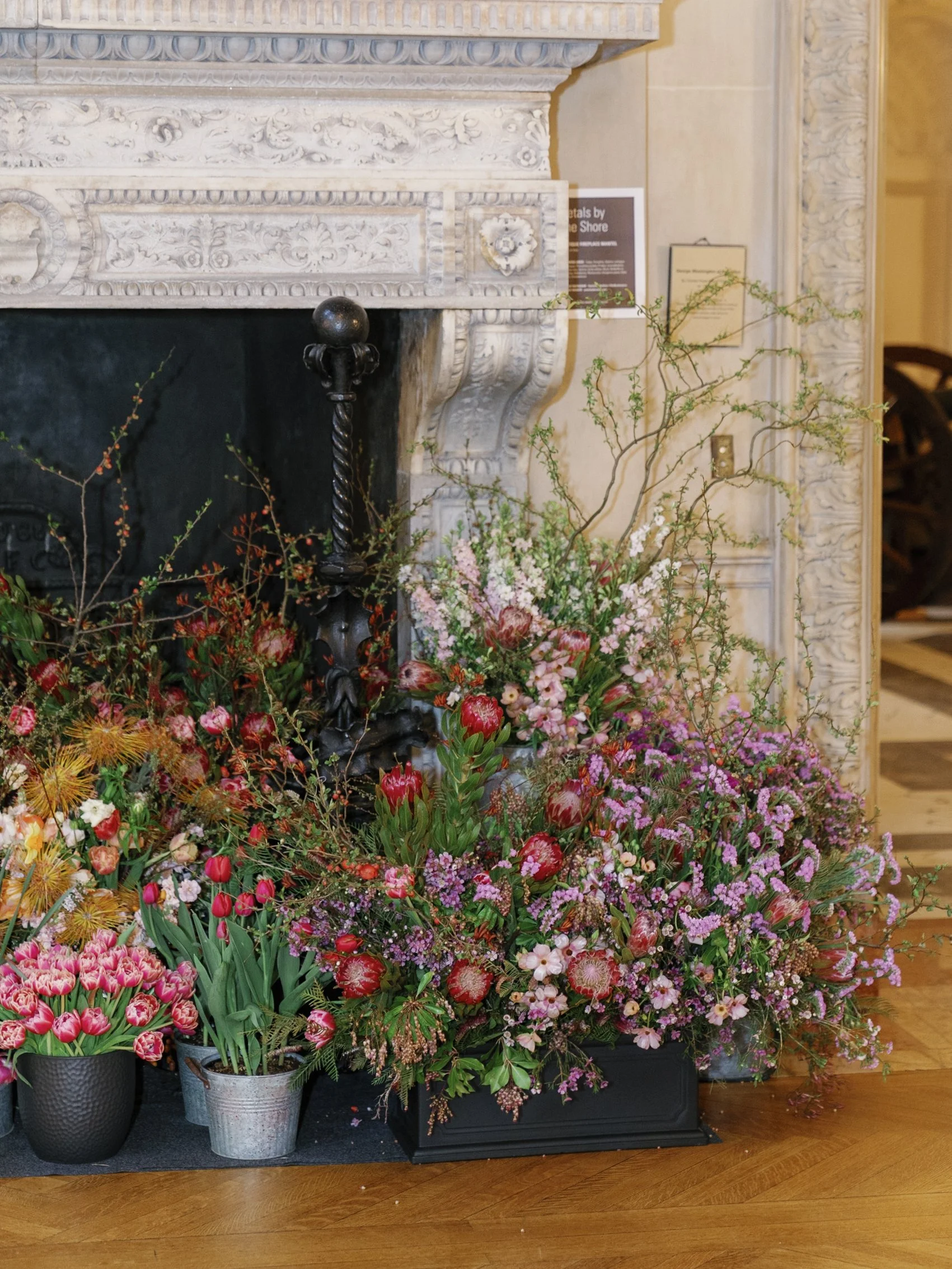 ART IN BLOOM _ RUDNEYNOVAES0455.JPG