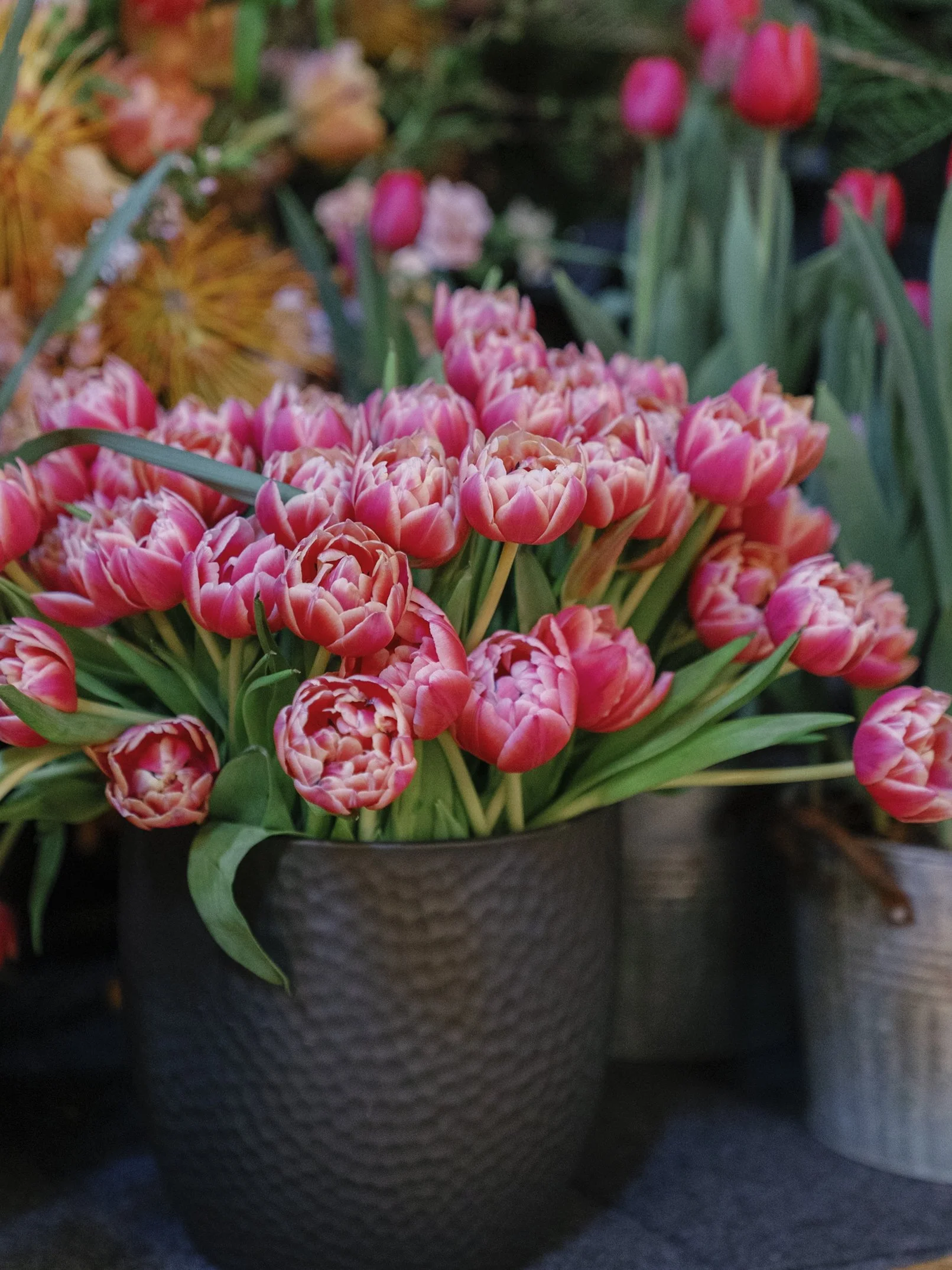 ART IN BLOOM _ RUDNEYNOVAES0458.JPG