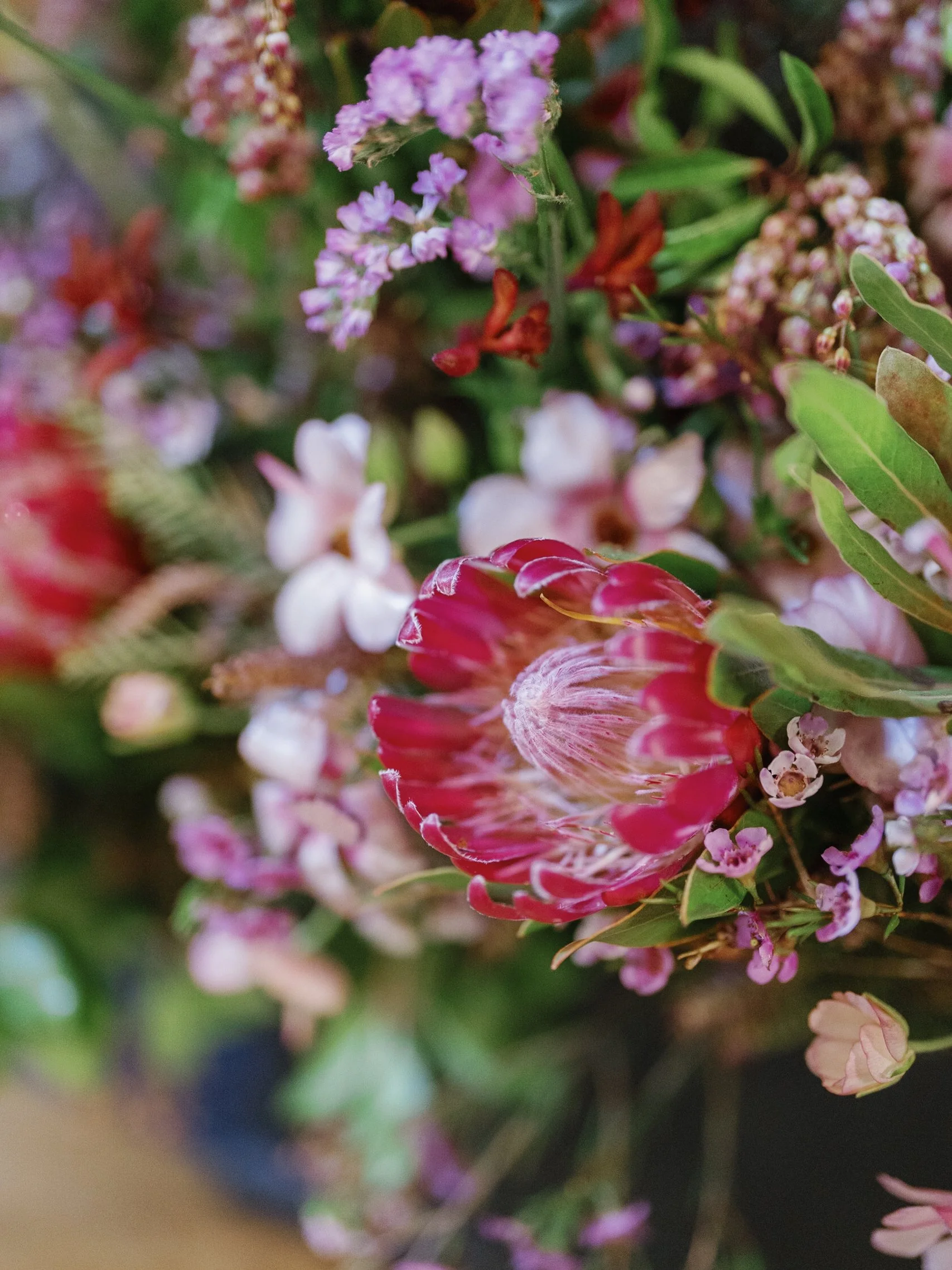 ART IN BLOOM _ RUDNEYNOVAES0461.JPG