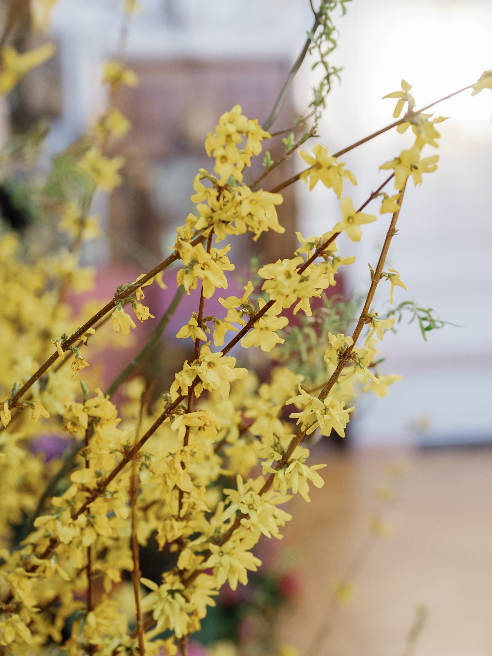 ART IN BLOOM _ RUDNEYNOVAES0463.JPG