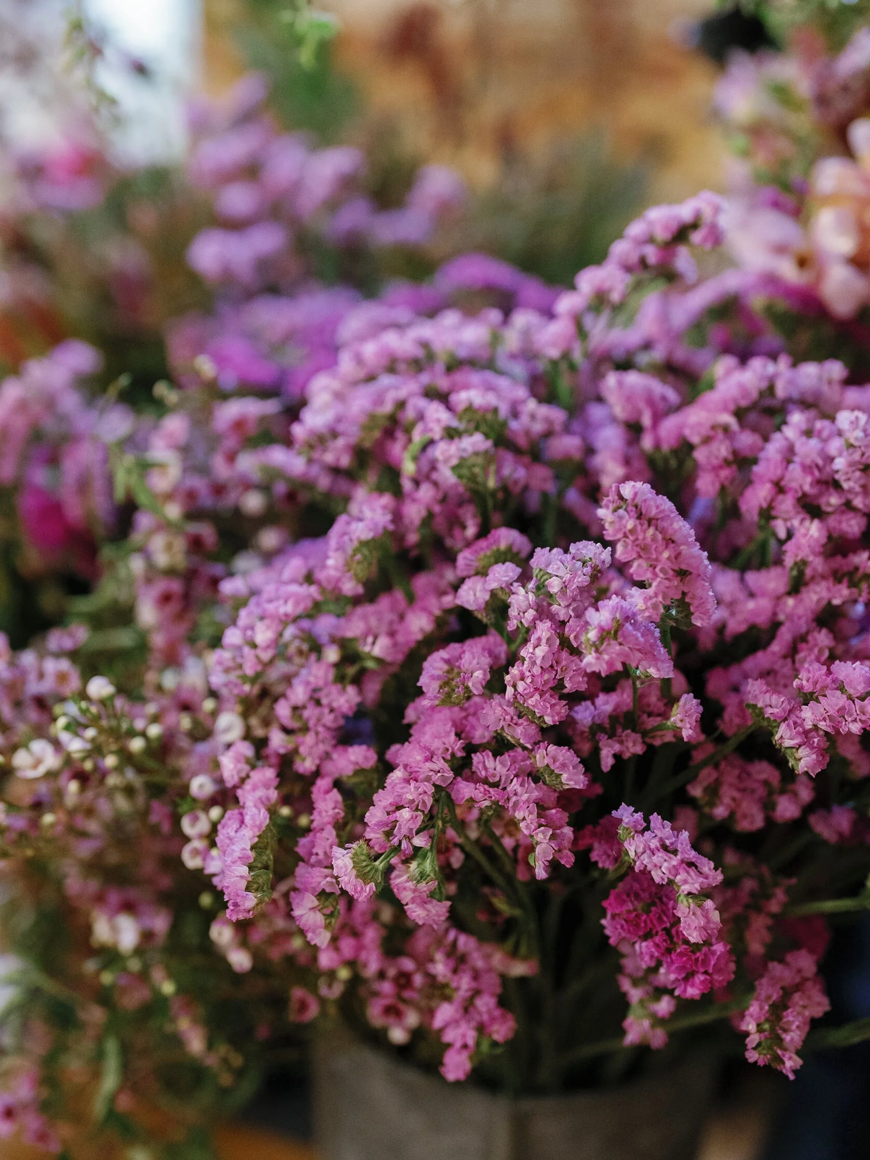 ART IN BLOOM _ RUDNEYNOVAES0462.JPG