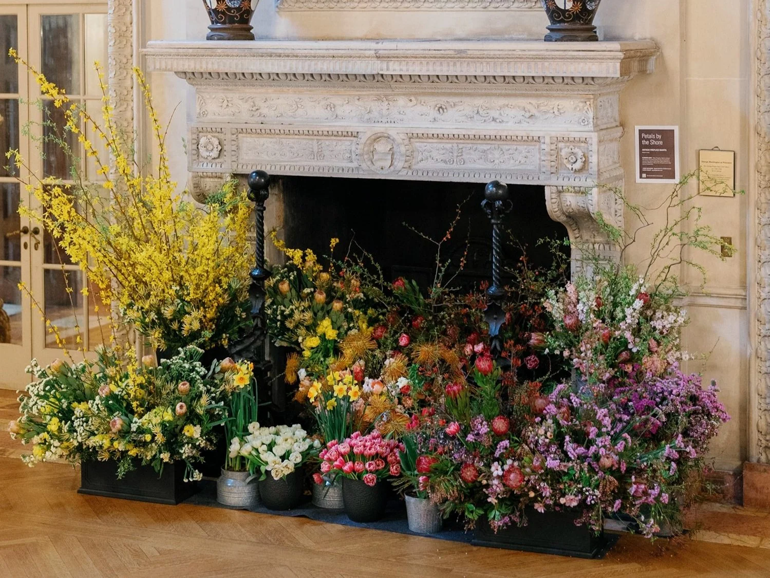 ART IN BLOOM _ RUDNEYNOVAES0460.JPG