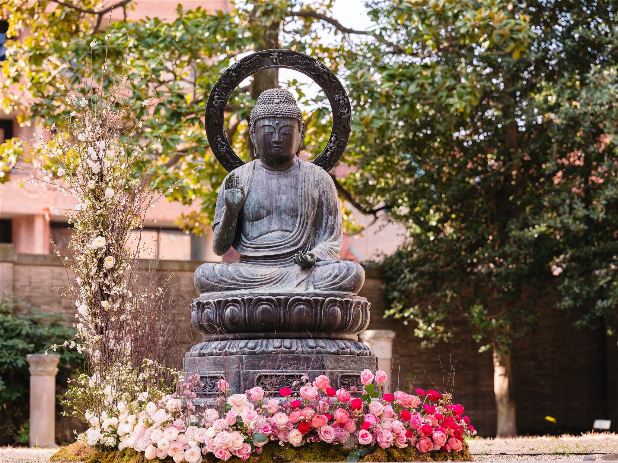 Fleurs DC x Garden Buddha