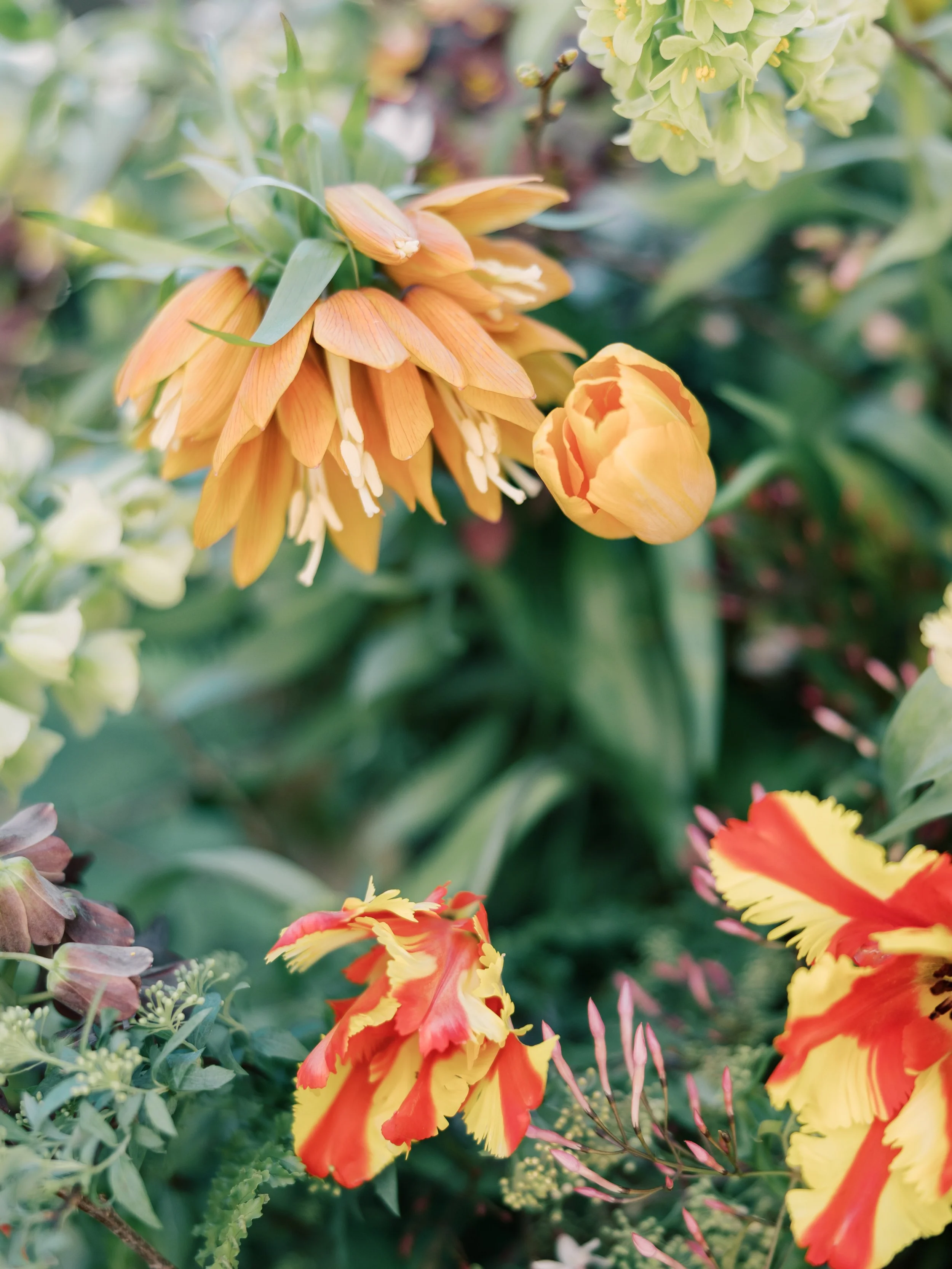 Art in Bloom 2024-4.jpg